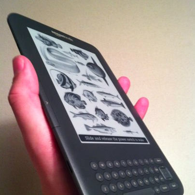 Will this Kindle 3 Review Help Make Your Christmas List?