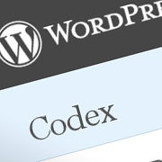 Understanding the WordPress Codex and the Widget API