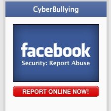 Fighting Facebook Bullies, Cyberbullying