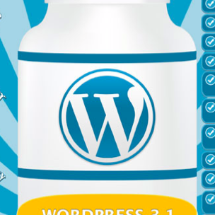 Celebrate WordPress 3.1 [Infographic]
