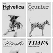 If Fonts Were Dogs