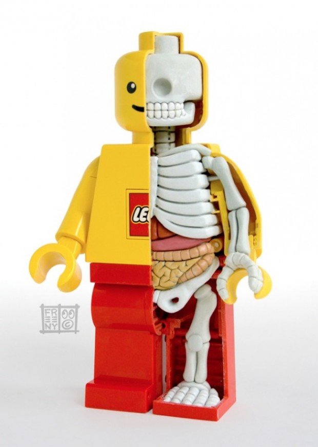 Anatomy of a LEGO Man