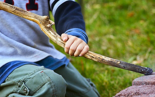 wood tree stick