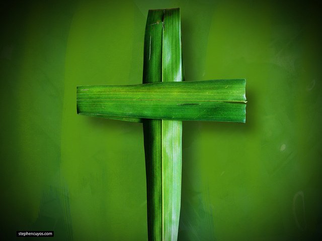 Have a Blessed Palm Sunday!