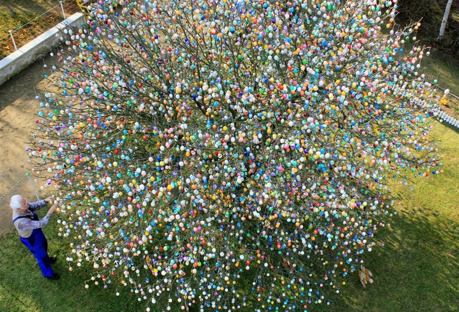 Tree of 10,000 Easter Eggs