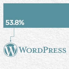 WordPress Domination [Infographic]