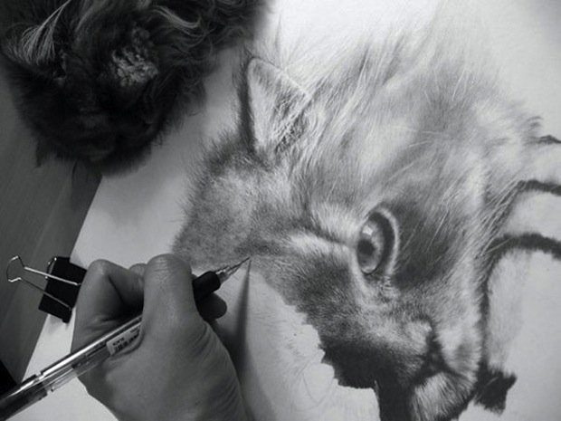 paul lung realistic pencil drawings