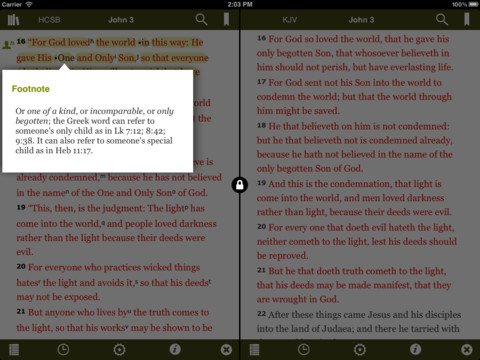 wordsearch ipad bible