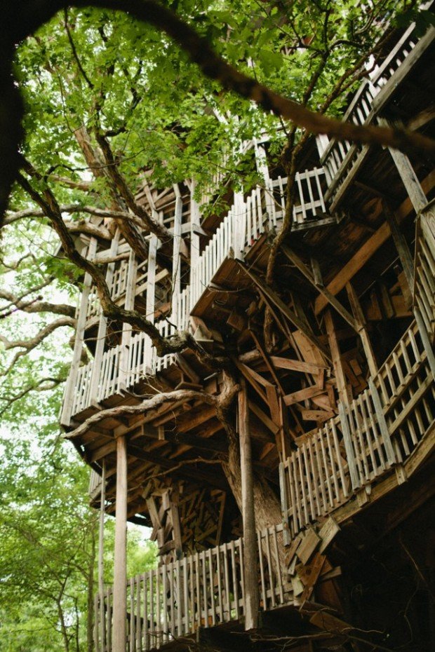 100ft minister's Treehouse