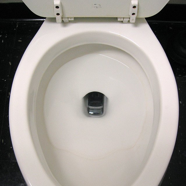 Why Do You Use Your Cell Phone on the Toilet?