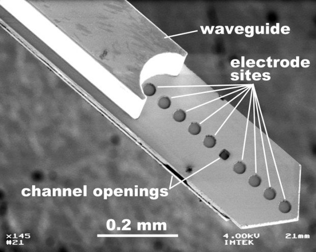 02NWOptoElectronics-1360781602707