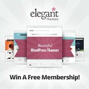 Portfolio WordPress Themes: Elegant Themes Giveaway