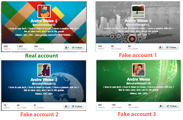 fake twitter accounts