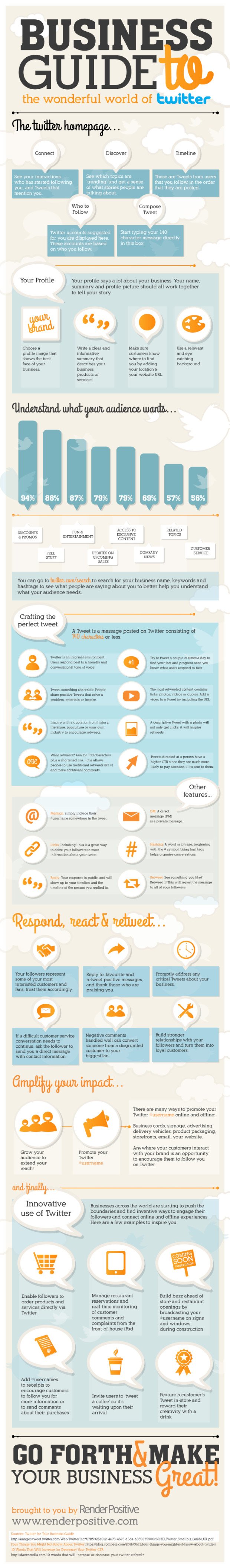 Business Guide to Twitter Infographic