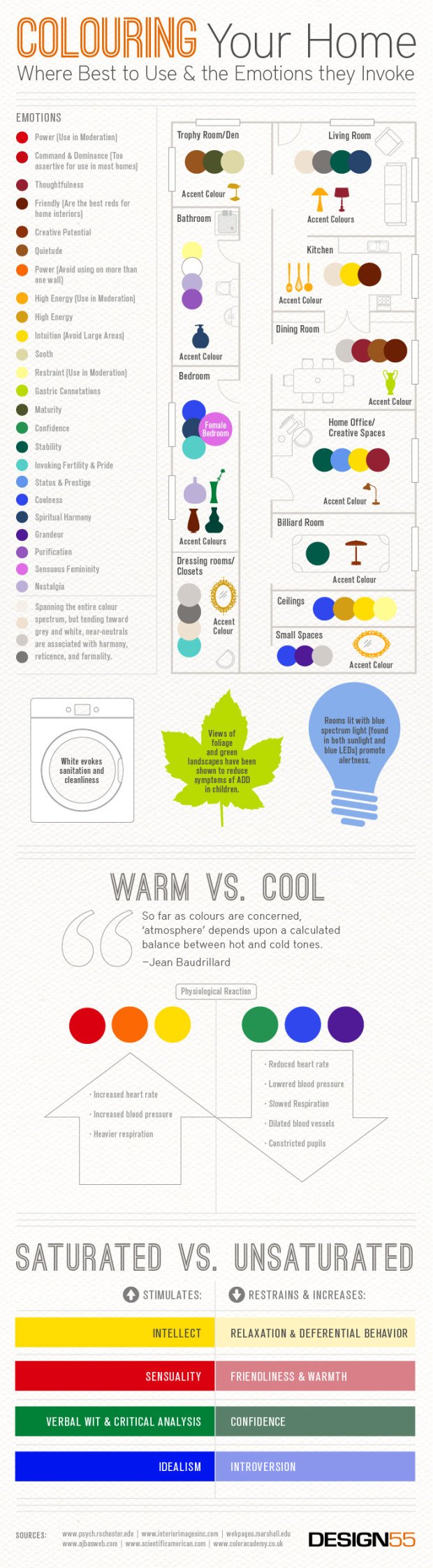 Color Decorating Infographic