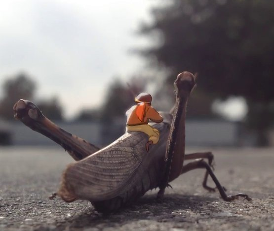 A Jumping Grasshopper Video Turned Awesome [Video]