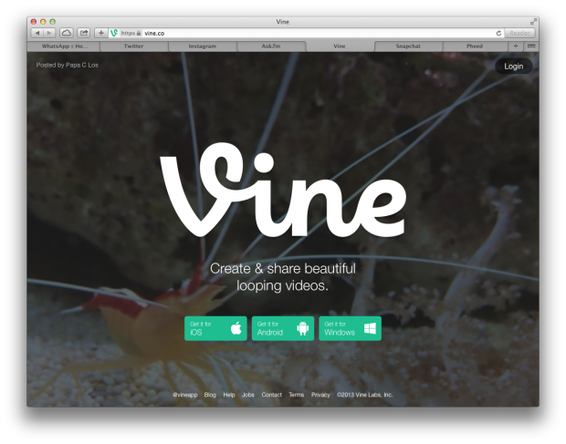 Vine Website Screenshot