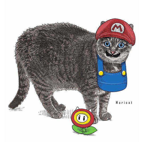 Mariocat