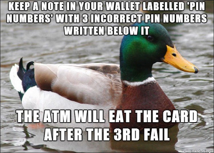 tips-from-the-worlds-smartest-duck-best-of-actual-advice-mallard-12