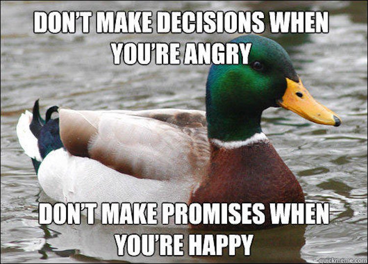 tips-from-the-worlds-smartest-duck-best-of-actual-advice-mallard-2