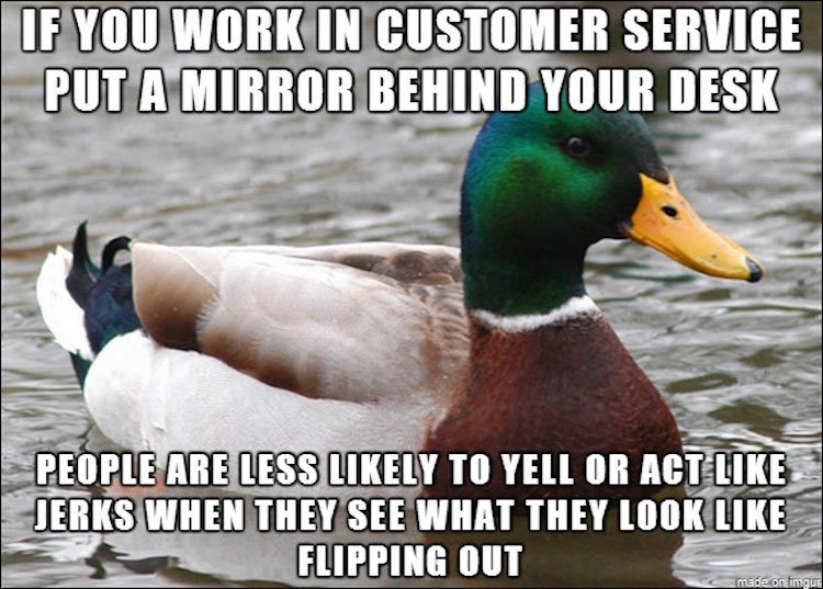 tips-from-the-worlds-smartest-duck-best-of-actual-advice-mallard-26