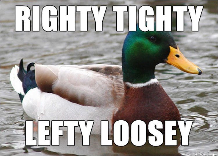 tips-from-the-worlds-smartest-duck-best-of-actual-advice-mallard-261
