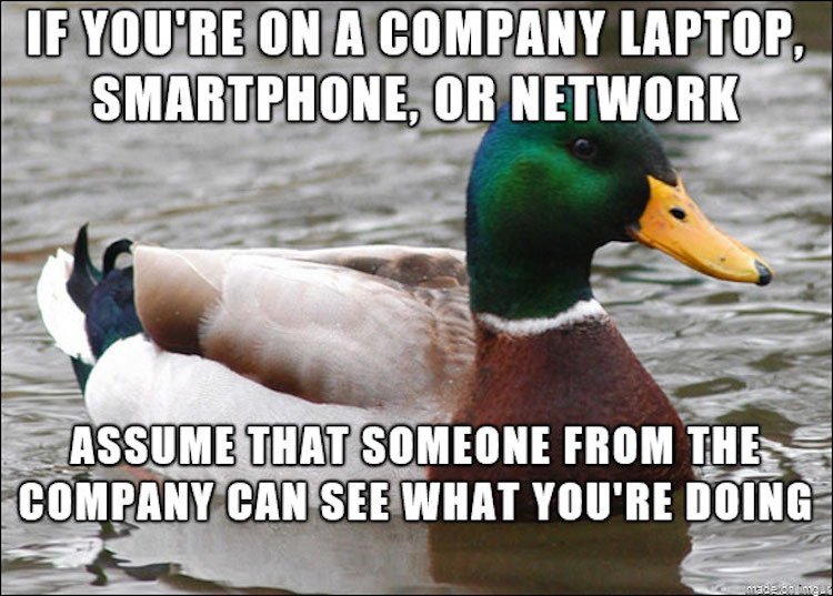 tips-from-the-worlds-smartest-duck-best-of-actual-advice-mallard-27