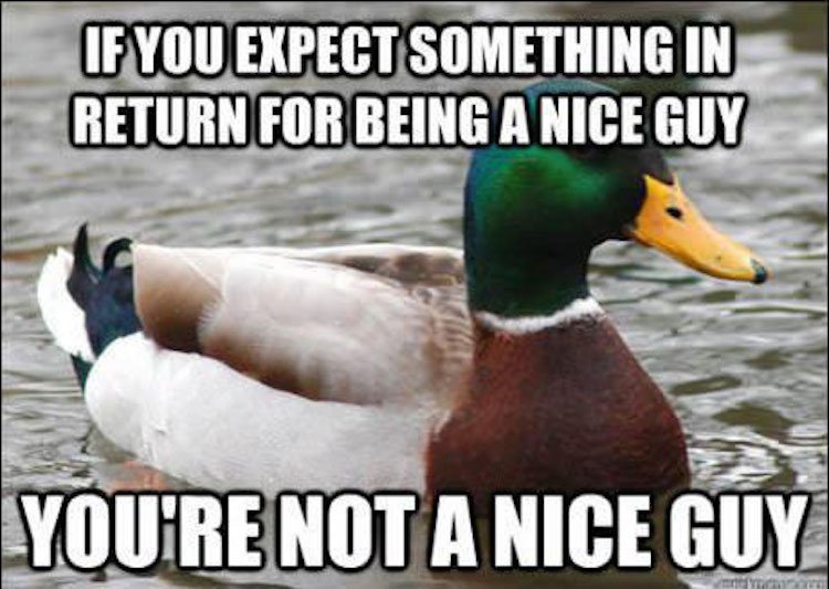 tips-from-the-worlds-smartest-duck-best-of-actual-advice-mallard-8