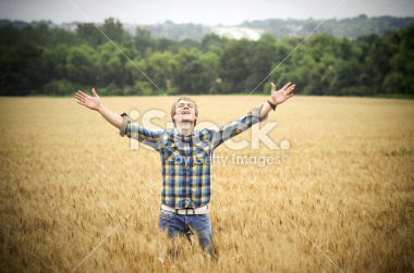 wheat-field