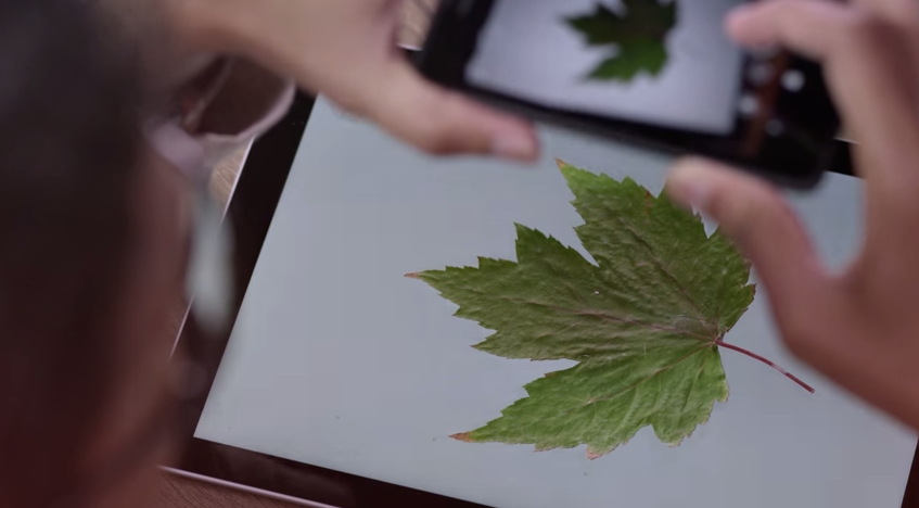 The Future of Adobe Creative Apps and Microsoft [Video]