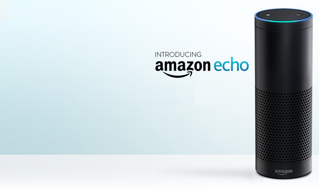 Would You Like to Have an Amazon Echo?