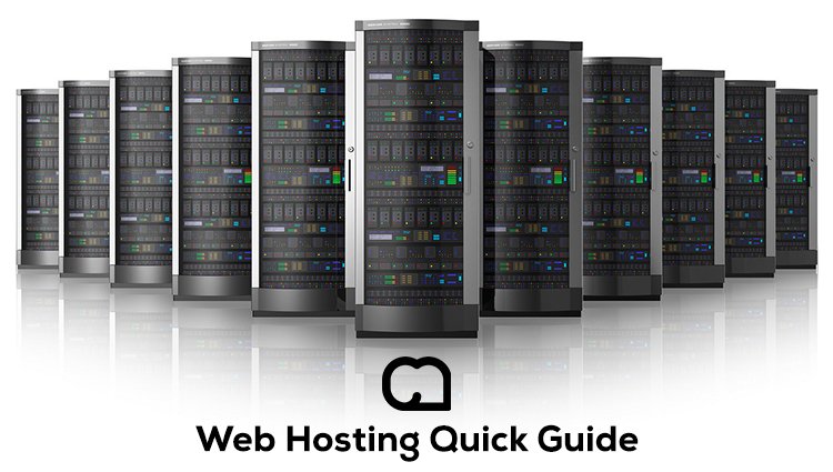 Web Hosting Quick Guide [Infographic]