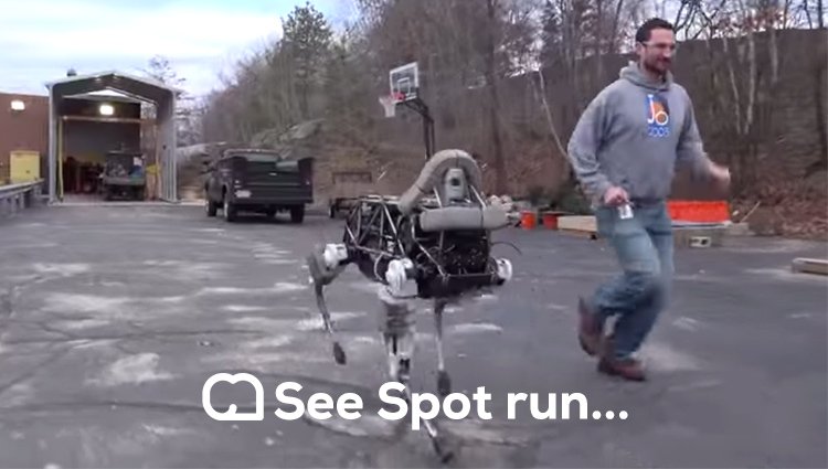 See Spot Run…Now, Run For Your Life!