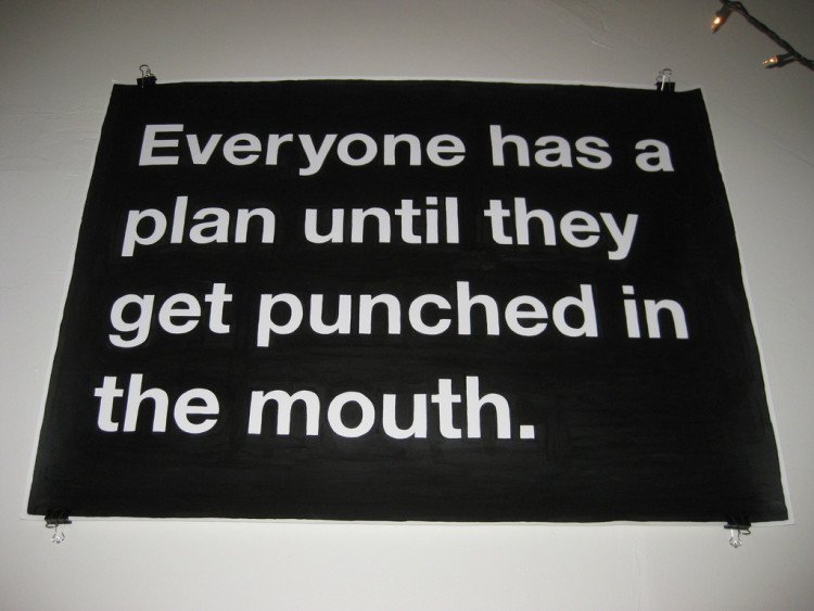 every one has a plan - punch