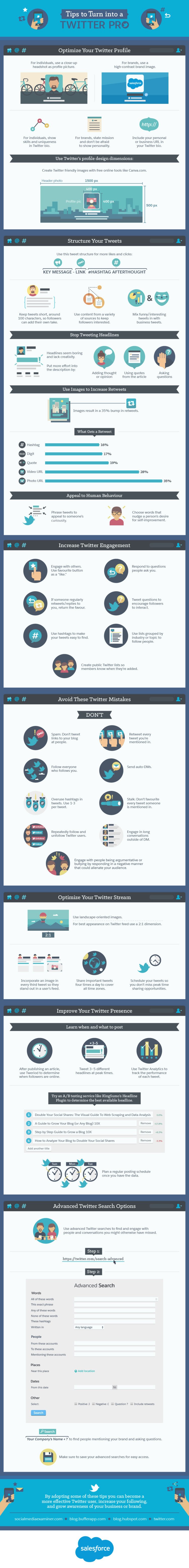 Twitter Tips to Turn into a Twitter Pro [Infographic]