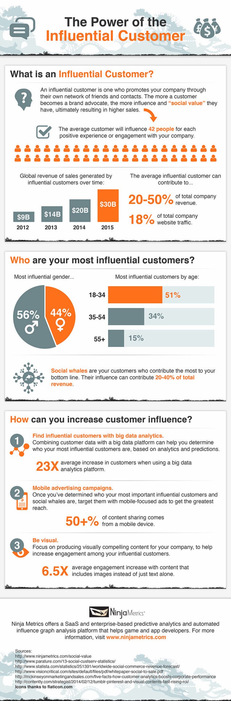 The Power of the Influential Customer [Infographic]