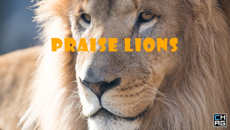 JubileeYear Introduces New Worship Cats: Praise Lions