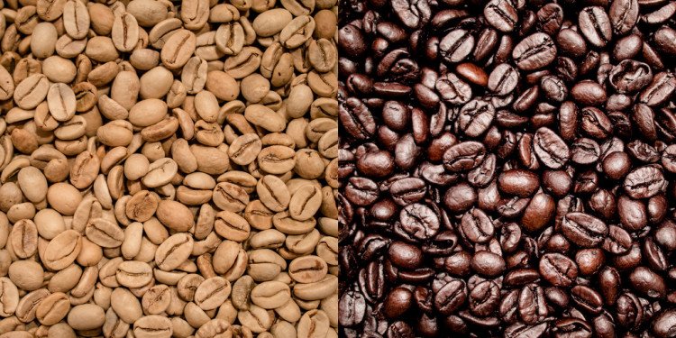5 Facts About Coffee Beans [Infographic]