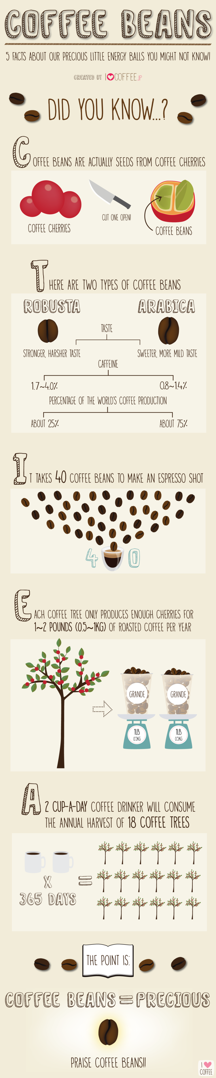 5 Facts About Coffee Beans [Infographic]